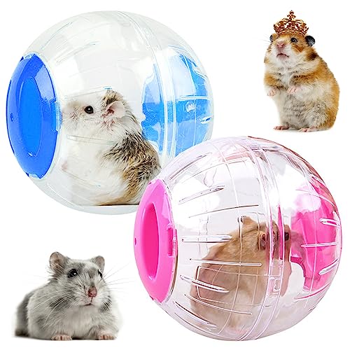 INHEMING 2 Stück Hamsterball Hamster Laufball Hamsterkugel Transparent Hamster Übung Ball Laufkugel Joggingball Kleintiere Spielzeug für Hamster & Mäuse, Bewegung, Nagerspielzeug zum Laufen (Ø 12 cm) von INHEMING