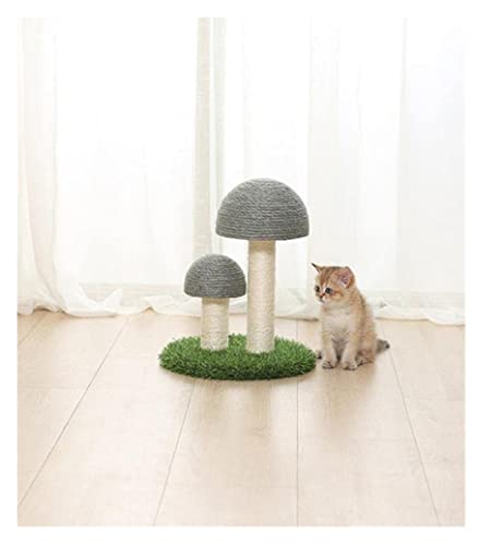 Katzenkratzer Kätzchen, Süße Pilze, Katzenkratzbrett, Möbel, Schützen Die Gesundheit Von Haustieren, Sisalmatte, Krallen, Pflege, Kratzspielzeug Kratzmatte Katze ( Blue : Bronze , Size : 35*35*42cm ) Katzenkratzer Kätzchen, Süße Pilze, Katzenkratzbrett, Möbel, Schützen Die Gesundheit Von Haustieren, Sisalmatte, Krallen, Pflege, Kratzspielzeug Kratzmatte Katze ( Blue : Bronze , Size : 35*35*42cm ) von INKTUS