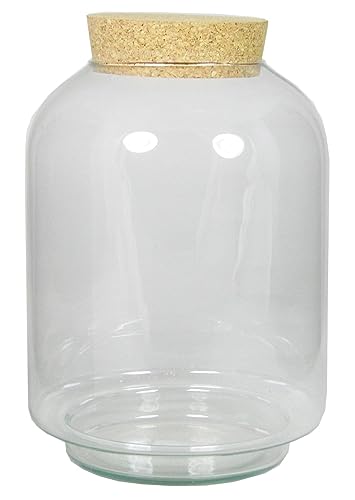 INNA-Glas Glas Terrarium Kondo mit Korkdeckel, klar, 25cm, Ø17cm - Deko Terrarium/Vorratsglas von INNA-Glas
