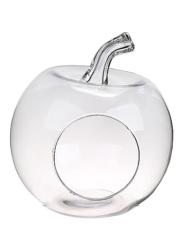 INNA-Glas Terrarium Glas TISOA in Apfelform, klar, 26 cm, Ø 24 cm - Deko Terrarium INNA-Glas Terrarium Glas TISOA in Apfelform, klar, 26 cm, Ø 24 cm - Deko Terrarium von INNA-Glas