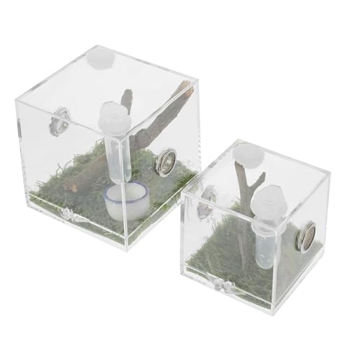 INOOMP 2 Stück Acryl-springzuchtbox Luftbefeuchter Insektenfütterungsbehälter für Tiere und Reptilien Leicht Zu Beobachten und Zu Reinigen INOOMP 2 Stück Acryl-springzuchtbox Luftbefeuchter Insektenfütterungsbehälter für Tiere und Reptilien Leicht Zu Beobachten und Zu Reinigen von INOOMP