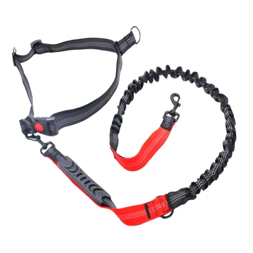 INOOMP Robuste Hundeleine Trainingsseil Schwarz/rot Reflektierend für Große und Mittelgroße Hunde Zugseil für Haustiere von INOOMP
