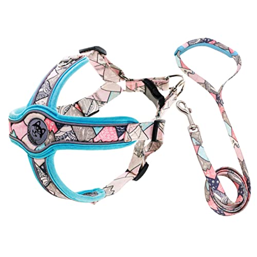 INOOMP Reflektierendes Hunde-Walking-Seil-Leine-Set Hundeweste Bequemer Brustgurt von INOOMP
