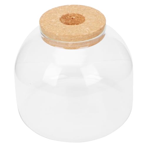 INOOMP Vorratsflasche Aus Glas Ökologische Mikrolandschaftsflasche Elegante Dekoration Für Wohnzimmer Schlafzimmer Badezimmer von INOOMP