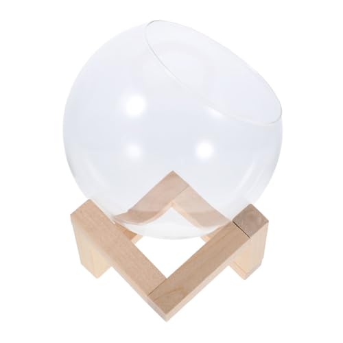 INOOMP 1 Set Desktop Terrarium Mit Holzrahmen Glas Anzuchtvase Für Hydrokulturpflanzen Mikro Landschaftspflanzer Für Den Schreibtisch Glasbehälter Heimdekoration von INOOMP