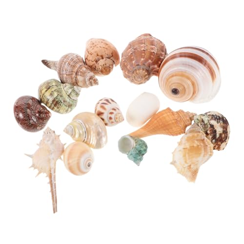 INOOMP 15 Stück Gemischte Muscheln Für Aquarium Zubehör Bunte Muschelornamente Im Küstenstil Zum Basteln Tropisches Strandthema Dekoration Vasenfüller INOOMP 15 Stück Gemischte Muscheln Für Aquarium Zubehör Bunte Muschelornamente Im Küstenstil Zum Basteln Tropisches Strandthema Dekoration Vasenfüller von INOOMP