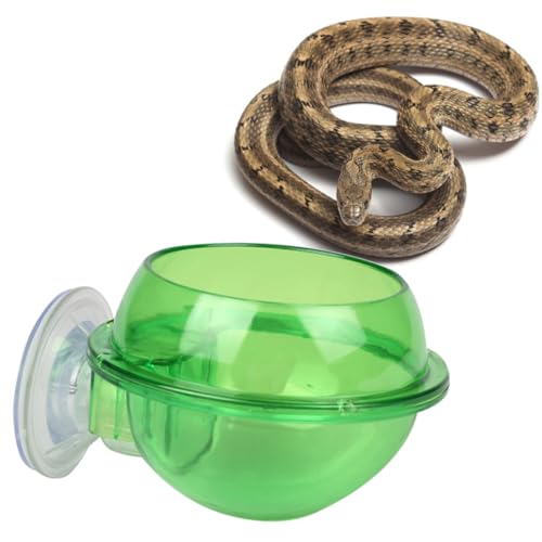 INOOMP 1pc Reptil Wasser Schüssel Tasse Feeder für Schildkröte Abs Robust Material INOOMP 1pc Reptil Wasser Schüssel Tasse Feeder für Schildkröte Abs Robust Material von INOOMP