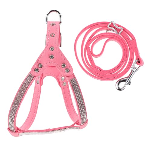 INOOMP 2 Sätze Haustier Geschirr Trainingsgeschirr Kleid für den Sommer pet Supplies haustierbedarf Tanktops Kleider Strassgeschirr Hundegeschirr rückenfrei Leine Seil Halsband Kleidung INOOMP 2 Sätze Haustier Geschirr Trainingsgeschirr Kleid für den Sommer pet Supplies haustierbedarf Tanktops Kleider Strassgeschirr Hundegeschirr rückenfrei Leine Seil Halsband Kleidung von INOOMP