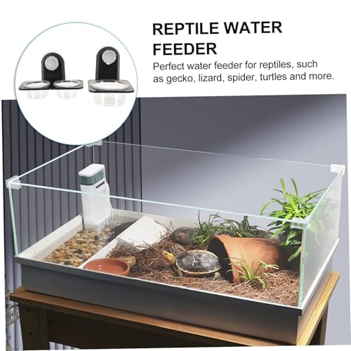 INOOMP 2 Sätze Reptilien Fressnäpfe mit Saugnapf Langlebige Wasserschale für Terrarien rutschfest Sicher für Eidechsen Geckos und Landschildkröten Praktisches Futter Trinkbecken INOOMP 2 Sätze Reptilien Fressnäpfe mit Saugnapf Langlebige Wasserschale für Terrarien rutschfest Sicher für Eidechsen Geckos und Landschildkröten Praktisches Futter Trinkbecken von INOOMP