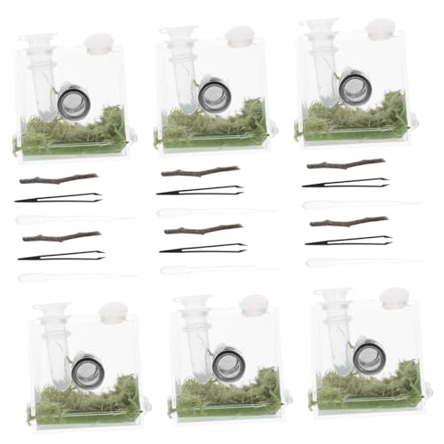 INOOMP 2sätze Acryl Insektenbox Für Springspinnen Als Habitat Mit Belüftung Transparent Und Langlebig Als Futterbox Und Brutbehälter Geeignet INOOMP 2sätze Acryl Insektenbox Für Springspinnen Als Habitat Mit Belüftung Transparent Und Langlebig Als Futterbox Und Brutbehälter Geeignet von INOOMP