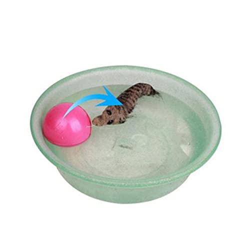INOOMP 2er-Pack Elektrisches Hundespielzeug Interaktives Wassermaus-Spielzeug für Welpen und Katzen Mini-rollspielzeug Batteriebetriebener Motor für Spielspaß INOOMP 2er-Pack Elektrisches Hundespielzeug Interaktives Wassermaus-Spielzeug für Welpen und Katzen Mini-rollspielzeug Batteriebetriebener Motor für Spielspaß von INOOMP