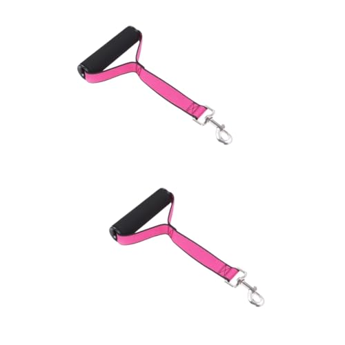 INOOMP 2 Stück Haustier Hundehalsband Training Hundezubehör Hundeleine Haustier Zubehör INOOMP 2 Stück Haustier Hundehalsband Training Hundezubehör Hundeleine Haustier Zubehör von INOOMP