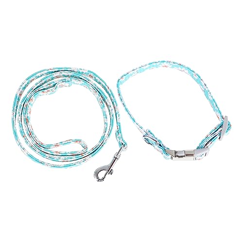 INOOMP 2stücke Verstellbares Haustierhalsband Mit Gepolsterter Hundeleine Robuste Und Bequeme Hundeleine Für Training Und Für Kleine Bis Mittelgroße Hunde von INOOMP