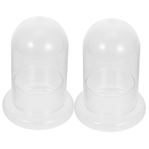 INOOMP 2stücke Flaschenterrarium Glasflasche Mit Moos Für Landschaftsdekoration Miniatur Garten Terrarium Für Tischdekoration Büro Zuhause von INOOMP
