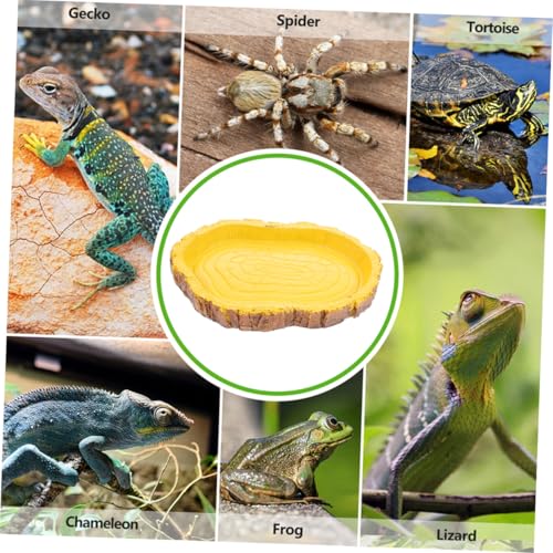 INOOMP 2 Stück Reptilien Futter Wassernapf Resin Baumstumpf Design Realistische Schildkröten Wasserschale rutschfest Geeignet für Schlangen und Kleine Reptilien im Terrarium INOOMP 2 Stück Reptilien Futter Wassernapf Resin Baumstumpf Design Realistische Schildkröten Wasserschale rutschfest Geeignet für Schlangen und Kleine Reptilien im Terrarium von INOOMP