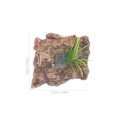 INOOMP 20 Stück natürliche Korkrinde-Dekoration für Reptilienbecken – Aquarium-Baumrinden-Hintergrund – Terrarium-Zubehör, zartes Reptilienfell – Aquarium-Dekoration INOOMP 20 Stück natürliche Korkrinde-Dekoration für Reptilienbecken – Aquarium-Baumrinden-Hintergrund – Terrarium-Zubehör, zartes Reptilienfell – Aquarium-Dekoration von INOOMP