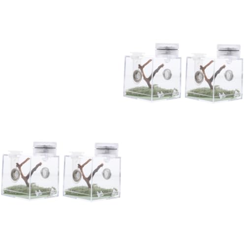 INOOMP 2Er-Box Springspinnen-Zuchtbox Mini Spinnenhaus Haustier Laufstall großer Luftbefeuchter Spinnenhaltungsbox Springspinnen-Box Lebensraum der Spinne Spinnenlebensraumhalter Holz INOOMP 2Er-Box Springspinnen-Zuchtbox Mini Spinnenhaus Haustier Laufstall großer Luftbefeuchter Spinnenhaltungsbox Springspinnen-Box Lebensraum der Spinne Spinnenlebensraumhalter Holz von INOOMP