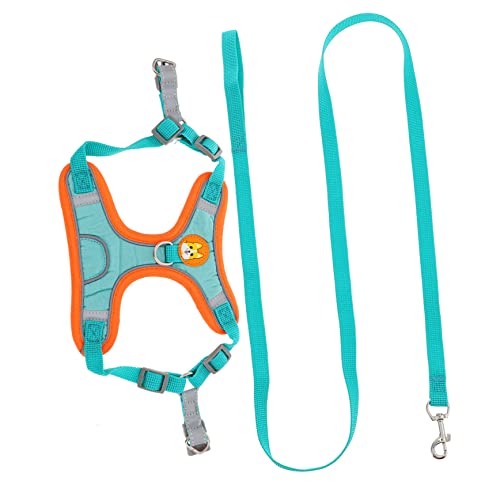 INOOMP 3 Sätze Transportbox für Haustiere Geschirrset für Haustiere Diensthundegeschirr hundezubehör für mittlere Hunde hundesicherheitsgeschirre Welpengeschirr Outdoor-Hundeversorgung INOOMP 3 Sätze Transportbox für Haustiere Geschirrset für Haustiere Diensthundegeschirr hundezubehör für mittlere Hunde hundesicherheitsgeschirre Welpengeschirr Outdoor-Hundeversorgung von INOOMP