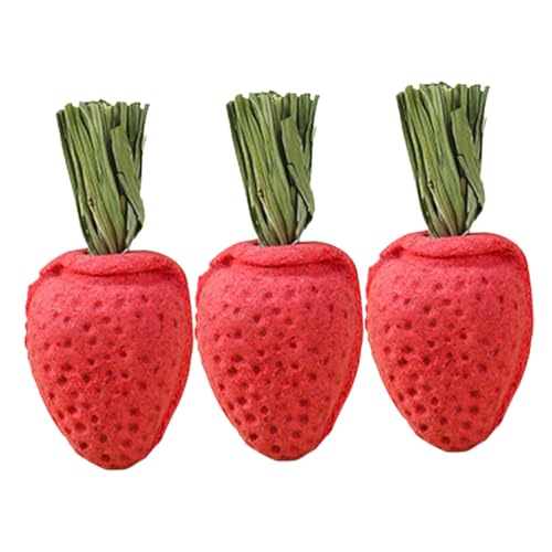 INOOMP 3stücke Hamster Kauspielzeug Aus Natürlichem Material Zahnfreundliche Erdbeeren Für Kleine Tiere Wie Meerschweinchen Und Kaninchen Zahngesundheit Und Spielvergnügen von INOOMP