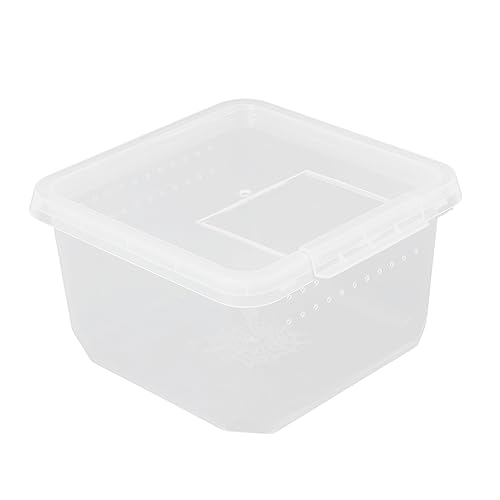 INOOMP 3stücke Reptil Zuchtbox Für Sprungspinnen Transparente Mini Futterbox Mit Belüftungsöffnungen Für Aufzucht Und Pflege Von Reptilien Und Insekten Leicht Zu Reinigen Beobachten INOOMP 3stücke Reptil Zuchtbox Für Sprungspinnen Transparente Mini Futterbox Mit Belüftungsöffnungen Für Aufzucht Und Pflege Von Reptilien Und Insekten Leicht Zu Reinigen Beobachten von INOOMP
