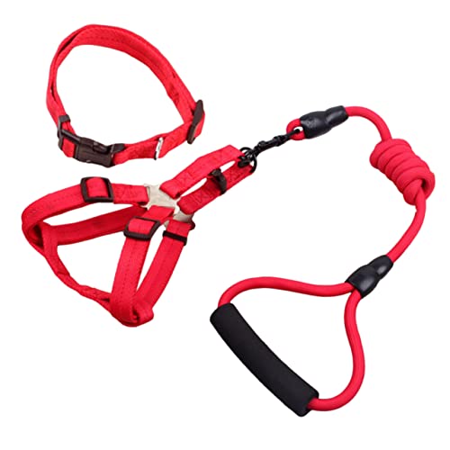 INOOMP Verstellbares Leinenset Für Hunde Haustier Und Leine 12 Mm Breit 120 cm Rot Bequemer Griff von INOOMP