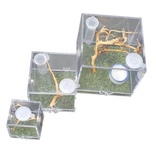 INOOMP 3stücke Teiliges -insektenfütterungs Springspinnen Transparente Zuchtbox Mit Futteröffnung Und Hygrometer Für Optimale Haltung Und Pflege INOOMP 3stücke Teiliges -insektenfütterungs Springspinnen Transparente Zuchtbox Mit Futteröffnung Und Hygrometer Für Optimale Haltung Und Pflege von INOOMP