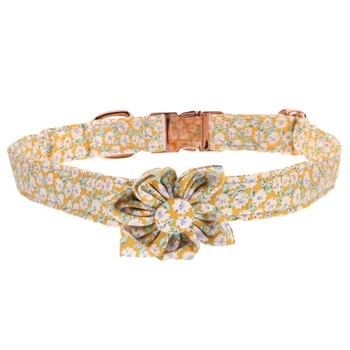INOOMP 3st Blumenkragen Halsschmuck Für ädchenhunde Blumendekor Hundehalsband Mit Fliege Welpen ädchen Halskette Welpenhalsband Cool Niedlich Beschriftung Schnalle Baumwolle von INOOMP