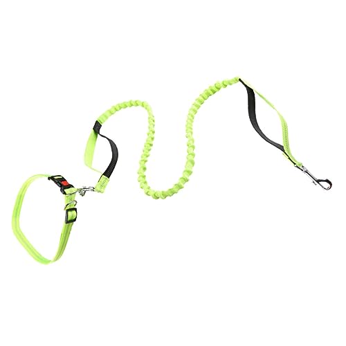 INOOMP 4 Stück Haustierleine Hundeleine ohne Hände Auto Quick Connect hundeschule Rope Welpe elastische Hundeleinen rutschfeste Hundeleine Elastizität Hündchen Seil Gürtel von INOOMP