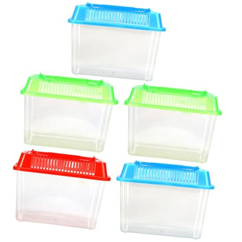 INOOMP 5 Stück Tragbares Mini-Aquarium Kunststoff-Fischterrarium Mit Griff Kleines Schildkrötenbecken Reptilien-Träger-Aquarium Für Kleine Lebewesen Und Lebewesen INOOMP 5 Stück Tragbares Mini-Aquarium Kunststoff-Fischterrarium Mit Griff Kleines Schildkrötenbecken Reptilien-Träger-Aquarium Für Kleine Lebewesen Und Lebewesen von INOOMP