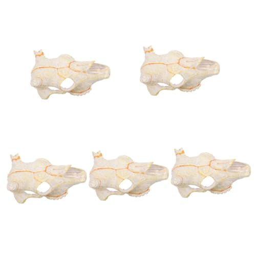 INOOMP 5 Stücke Fisch Tank Cave Decor Reptil Hideout Schädel Garnelen Shelter Harz Material Aquarium Ornament von INOOMP
