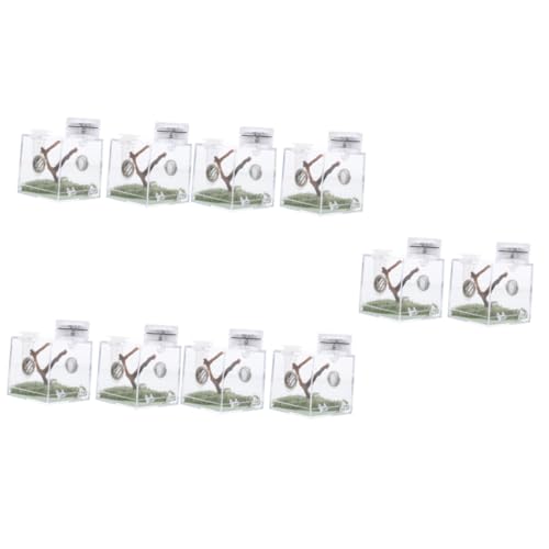 INOOMP 5er-Box Springspinnen-zuchtbox Zäune Für Haustiere Klares Reptilienterrarium Tierlaufstall Miniaturgehäuse Kleiner Laufstall Für Haustiere Zuchtträger Spinnenkäfig Acryl INOOMP 5er-Box Springspinnen-zuchtbox Zäune Für Haustiere Klares Reptilienterrarium Tierlaufstall Miniaturgehäuse Kleiner Laufstall Für Haustiere Zuchtträger Spinnenkäfig Acryl von INOOMP