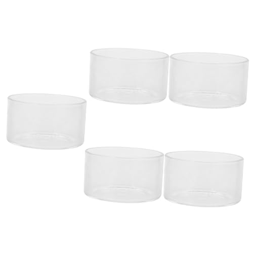 INOOMP 5st Mikrolandschaftspflanzen Wünschen Flasche Terrarienschale Pflanzenterrarium Saftiges Terrarium Mikro-landschaftsflasche Landschaft Flasche Terrarienpflanzer Glas INOOMP 5st Mikrolandschaftspflanzen Wünschen Flasche Terrarienschale Pflanzenterrarium Saftiges Terrarium Mikro-landschaftsflasche Landschaft Flasche Terrarienpflanzer Glas von INOOMP