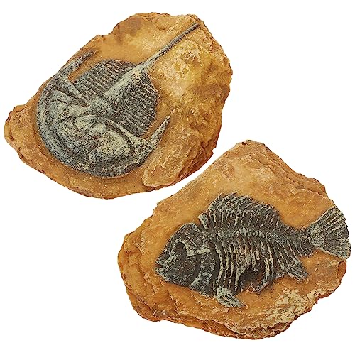INOOMP 3sets Realistische Reptil Dekore Kreative Landschaft Ornamente Für Terrarium 2 Stücke * 3 von INOOMP