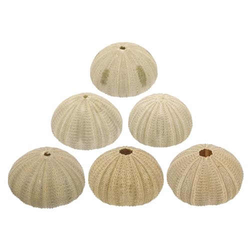 INOOMP 6 Stck. Teiliges Natürliche Seeigelschalen Muschel-Dekoration für Aquarium und Bastelarbeiten Robuste Meeresdeko für Zuhause und Fischbecken Einzigartige Meeres Ornamente INOOMP 6 Stck. Teiliges Natürliche Seeigelschalen Muschel-Dekoration für Aquarium und Bastelarbeiten Robuste Meeresdeko für Zuhause und Fischbecken Einzigartige Meeres Ornamente von INOOMP