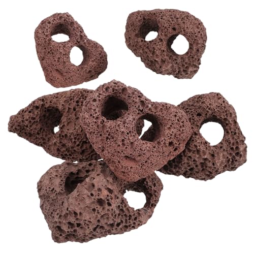 INOOMP 6 Stück Teiliges Aquarium Vulkanstein Langlebige Dekorationssteine mit Doppelöffnung Stabile Halterung für Wasserpflanzen Natürlicher Lavastein für Aquarien Wiederverwendbar INOOMP 6 Stück Teiliges Aquarium Vulkanstein Langlebige Dekorationssteine mit Doppelöffnung Stabile Halterung für Wasserpflanzen Natürlicher Lavastein für Aquarien Wiederverwendbar von INOOMP