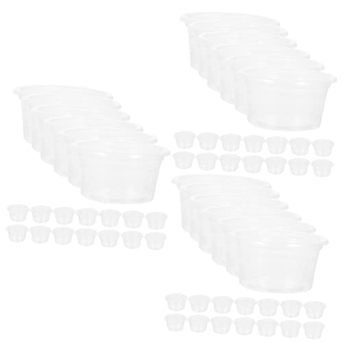 INOOMP 60stücke Transparente Futterschalen Für Reptilien Praktische Wasser Und Futterbehälter Für Terrarien Für Schlangen Eidechsen Und Andere Haustiere von INOOMP