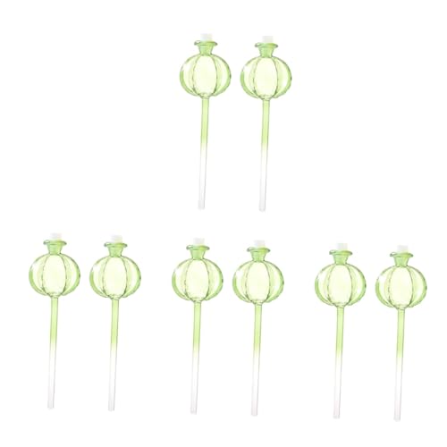 INOOMP 8 STK Kaktus-blumenbewässerung Für Pflanzen Pflanzenspitzen Automatischer Pflanzenbewässerer Selbstbewässernde Kugeln Anlage Glas Mit Hohem Borosilikatgehalt Werkzeug Niedlich von INOOMP