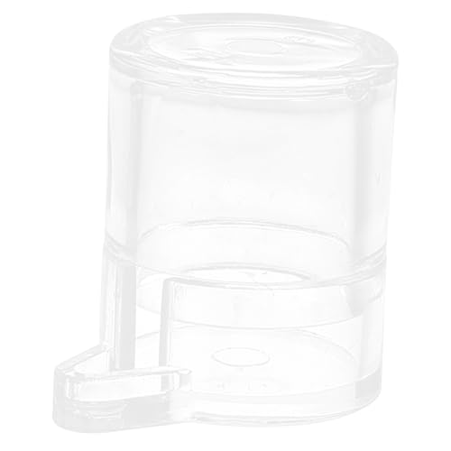 INOOMP Ameisen Wasser fütterung gerät Futterspender transparent Nest Ameisenwassertränke Ameisenhaltungszubehör Wasserspender für Ameisenfarmen Wasseraufbewahrungsschale Acryl von INOOMP