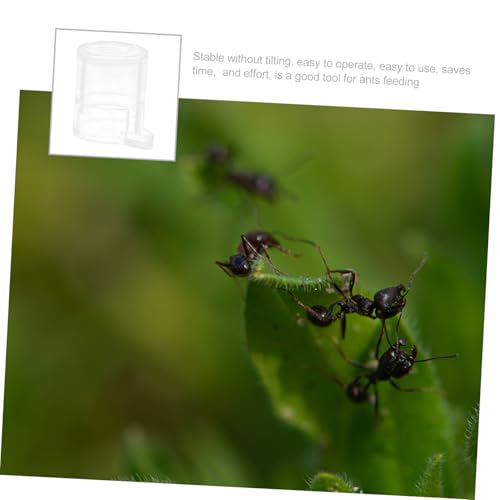INOOMP Ameisen Wassernapf Acryl Futterspender Ants Water Feeder Einfach zu Bedienen Für Ameisenfarm und Wissenschaftliche Beobachtung Kleine Trinkschale für Ameisen INOOMP Ameisen Wassernapf Acryl Futterspender Ants Water Feeder Einfach zu Bedienen Für Ameisenfarm und Wissenschaftliche Beobachtung Kleine Trinkschale für Ameisen von INOOMP