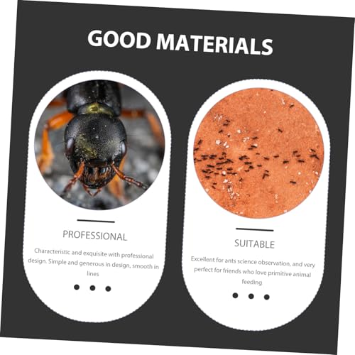 INOOMP Ameisen Wassertränke aus Bruchsicherem Acryl Praktischer Ants Feeding Container für Garten und Ameisenfarm Leicht zu Reinigen und Langlebig als Ameisenzubehör und Trinkschale INOOMP Ameisen Wassertränke aus Bruchsicherem Acryl Praktischer Ants Feeding Container für Garten und Ameisenfarm Leicht zu Reinigen und Langlebig als Ameisenzubehör und Trinkschale von INOOMP