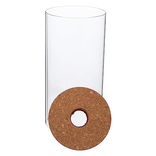 INOOMP Elegante Glaspflanze Flasche Terrarium Container Landschaft Flasche für Home Decor Moos Pflanze Flasche von INOOMP