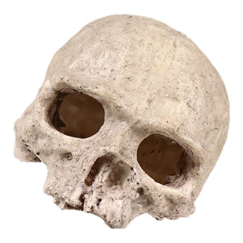 INOOMP Aquarium Resin Skull Ornament Fischversteck Reptilienhaus Deko Harz Kopf Versteck Höhle für Aquarium und Terrarium von INOOMP