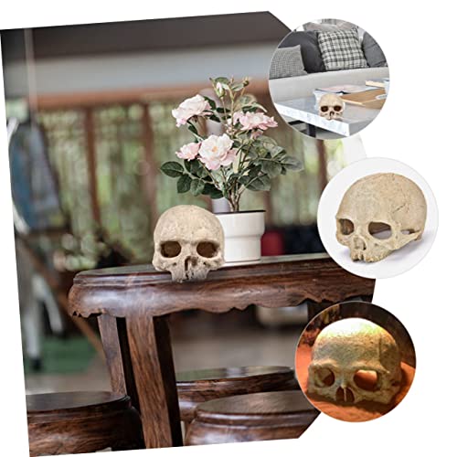 INOOMP Aquarium Resin Skull Ornament Höhle Reptilien Versteck Deko Fischtank Harz Dekoration Sicher Dauerhaft Natürliche Gestaltung INOOMP Aquarium Resin Skull Ornament Höhle Reptilien Versteck Deko Fischtank Harz Dekoration Sicher Dauerhaft Natürliche Gestaltung von INOOMP