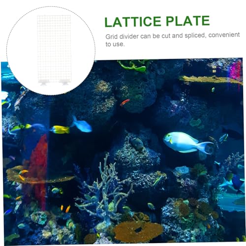 INOOMP Aquarium Trennwand Lattice Panel Transparent mit Saugnäpfen Spaltbare Isolationsplatte für Fischtrennung Zucht und Aquarienfilter Einfach zu Montieren und Zufällige Farbe INOOMP Aquarium Trennwand Lattice Panel Transparent mit Saugnäpfen Spaltbare Isolationsplatte für Fischtrennung Zucht und Aquarienfilter Einfach zu Montieren und Zufällige Farbe von INOOMP