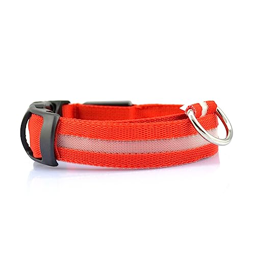INOOMP -haustierhalsband 2 5 cm Nylon Hundehalsband Blinklicht Nacht Kreisförmiges Halsband Haustierhalsband Hundehalsband von INOOMP