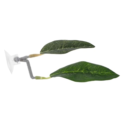 INOOMP Betta Leaf Pad mit Saugnapf Natürliches Betta Bettblatt für Kampffische Dekoratives Aquariumzubehör Ruhe Laichplatz Langlebiges Kunststoffblatt von INOOMP