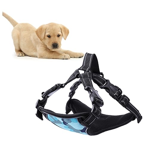 INOOMP Oxford Cloth Hundegeschirr Weste Atmungsaktives Mesh Für Kleine Mittelgroße Hunde Camouflage Blau s Sicheres Und Bequemes Brustgeschirr Mit Zwei Leinenanschlussstellen INOOMP Oxford Cloth Hundegeschirr Weste Atmungsaktives Mesh Für Kleine Mittelgroße Hunde Camouflage Blau s Sicheres Und Bequemes Brustgeschirr Mit Zwei Leinenanschlussstellen von INOOMP
