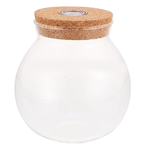INOOMP 1stücke Glass Terrarium Container Mit Led-Beleuchtung DIY-ökosystem Für Pflanzen Und Moos Deko Für Wohnzimmer Schlafzimmer Büro INOOMP 1stücke Glass Terrarium Container Mit Led-Beleuchtung DIY-ökosystem Für Pflanzen Und Moos Deko Für Wohnzimmer Schlafzimmer Büro von INOOMP