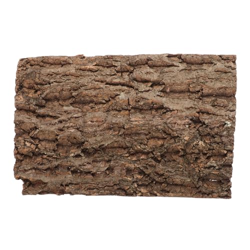INOOMP Korkrinde Für Reptilien Eidechsenkäfig Tankständer Reptilientank-zubehör 20 X 30 cm Reptilien-dekorbrett von INOOMP
