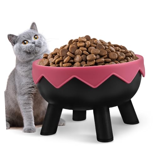 INOOMP Erhöhter Haustiernapf mit Rutschfestem Boden Geneigte Futterschale für Katzen und Kleine Hunde Entlastet Hals und Wirbelsäule Stabiler Futternapf für Drinnen Hygienisch und Einfach INOOMP Erhöhter Haustiernapf mit Rutschfestem Boden Geneigte Futterschale für Katzen und Kleine Hunde Entlastet Hals und Wirbelsäule Stabiler Futternapf für Drinnen Hygienisch und Einfach von INOOMP